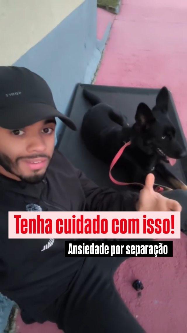 #adestramentojundiaí #jundiaiadestramento #cachorrobrasil #cães #caes