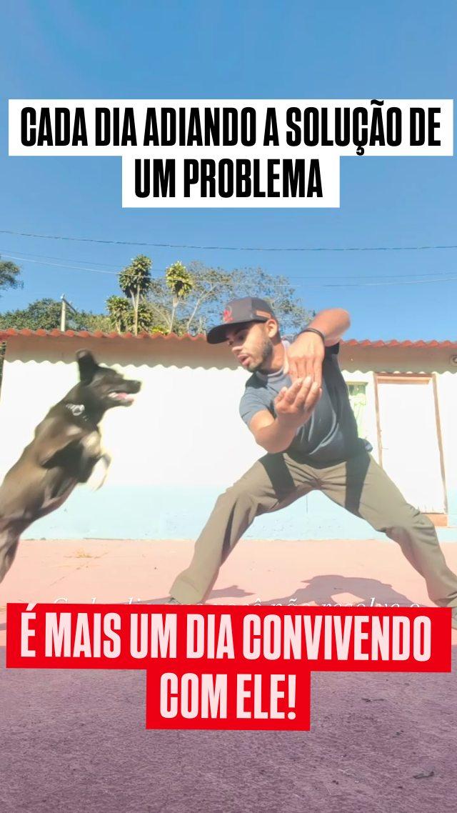 🚨 Seu cachorro não obedece, puxa na guia, é muito agitado ou ansioso, faz xixi no lugar errado, late para outros cães o