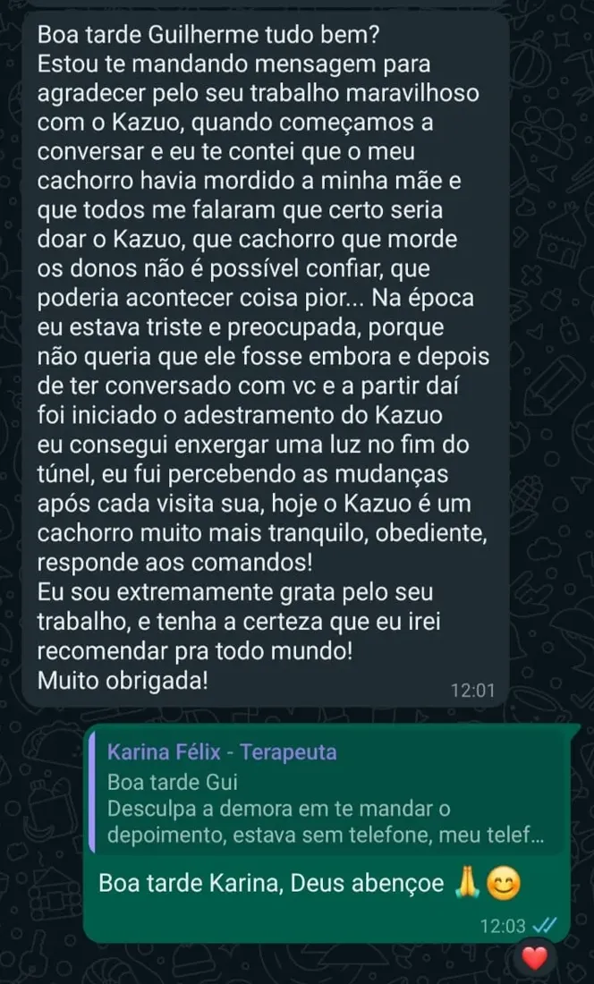 Mensagem de tutora no WhatsApp contando a evolução do cão