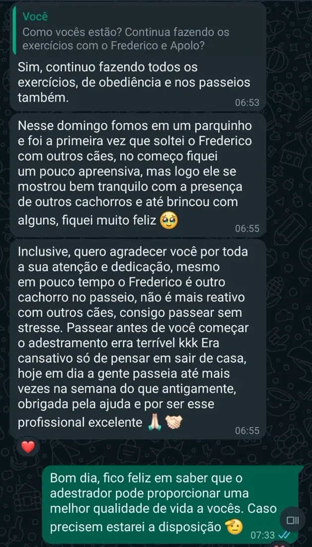 Mensagem de tutora no WhatsApp elogiando o resultado do treinamento