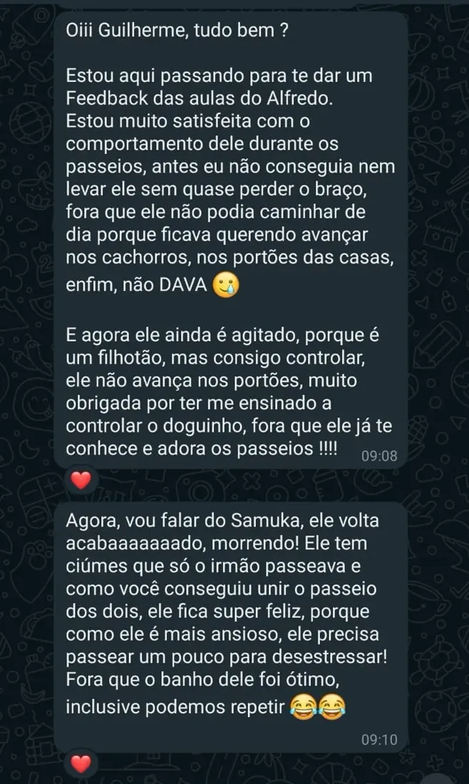 Mensagem de tutor no WhatsApp sobre o comportamento do cão em casa