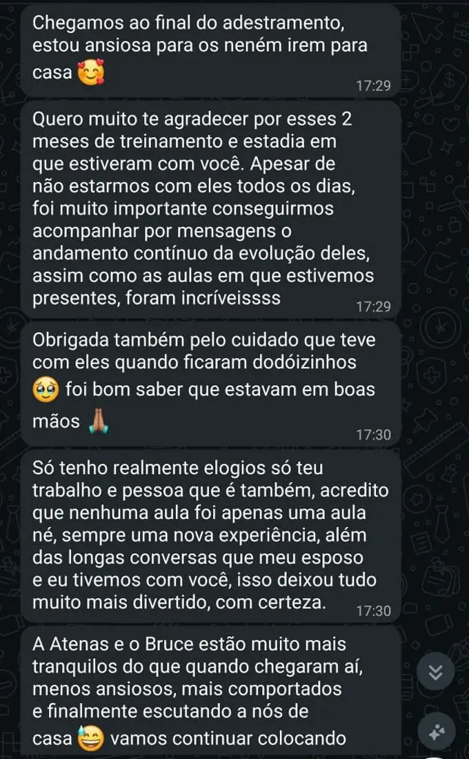 Mensagem de tutora no WhatsApp sobre o passeio na guia