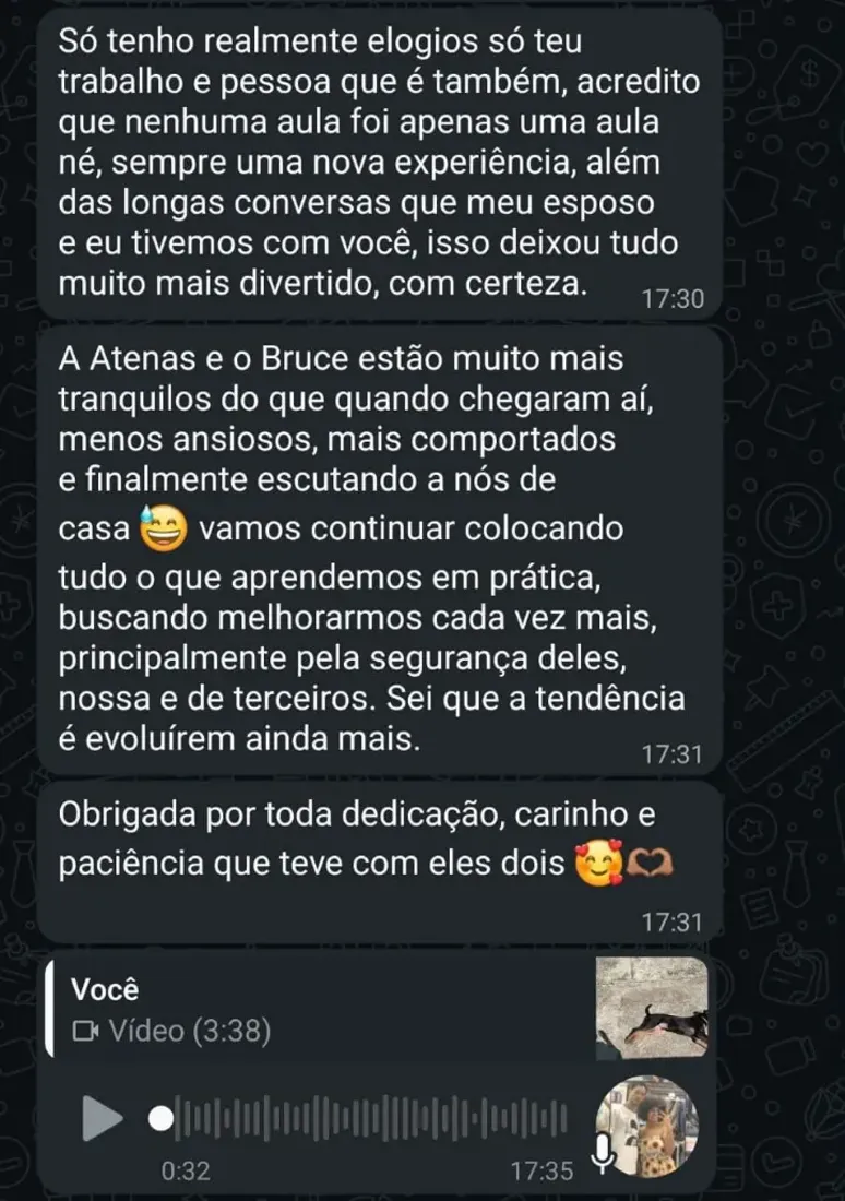 Mensagem de tutora no WhatsApp agradecendo o acompanhamento