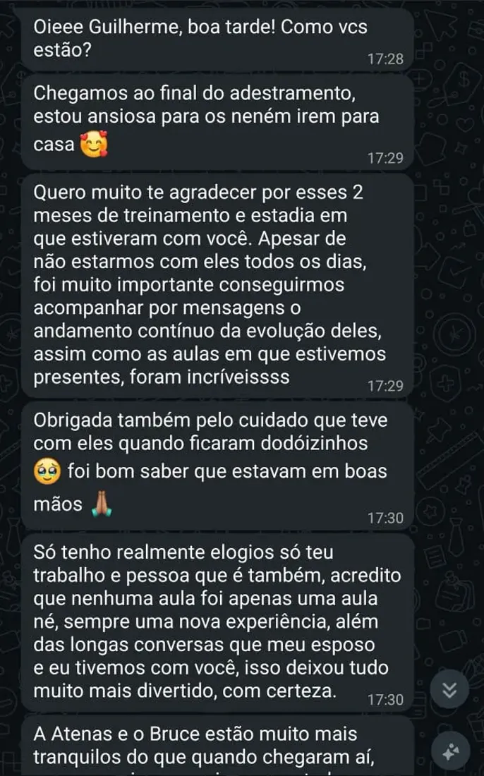 Mensagem de tutor no WhatsApp sobre a convivência com visitas