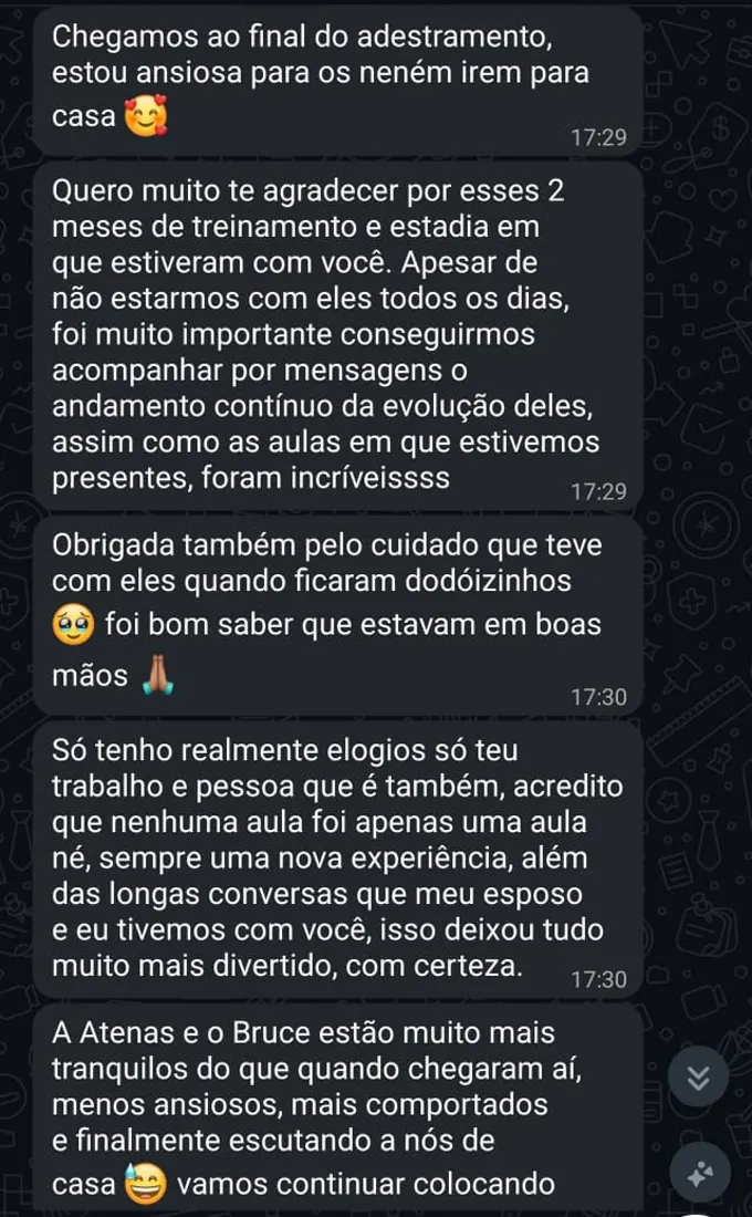 Mensagem de tutora no WhatsApp com retorno depois do treinamento