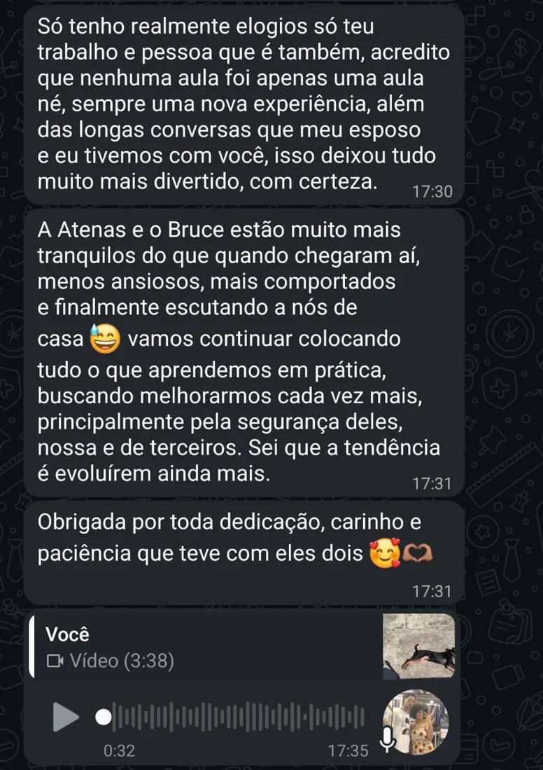 Mensagem de tutora no WhatsApp sobre a rotina depois da imersão
