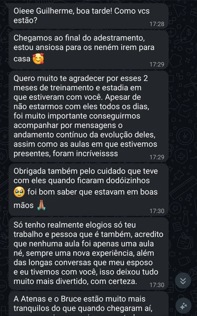 Mensagem de tutor no WhatsApp sobre o resultado do adestramento